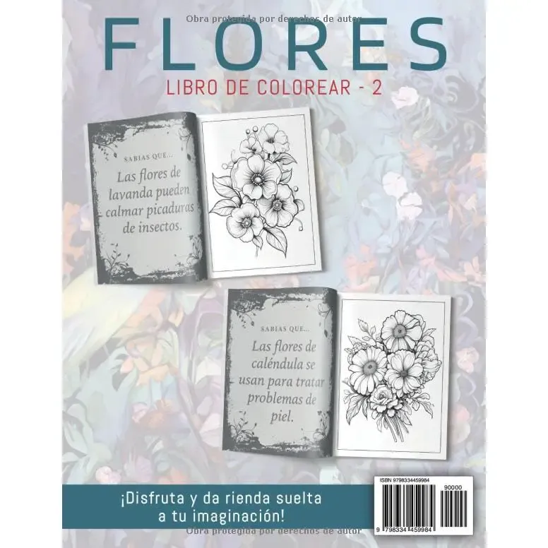 Contraportada 2.webp