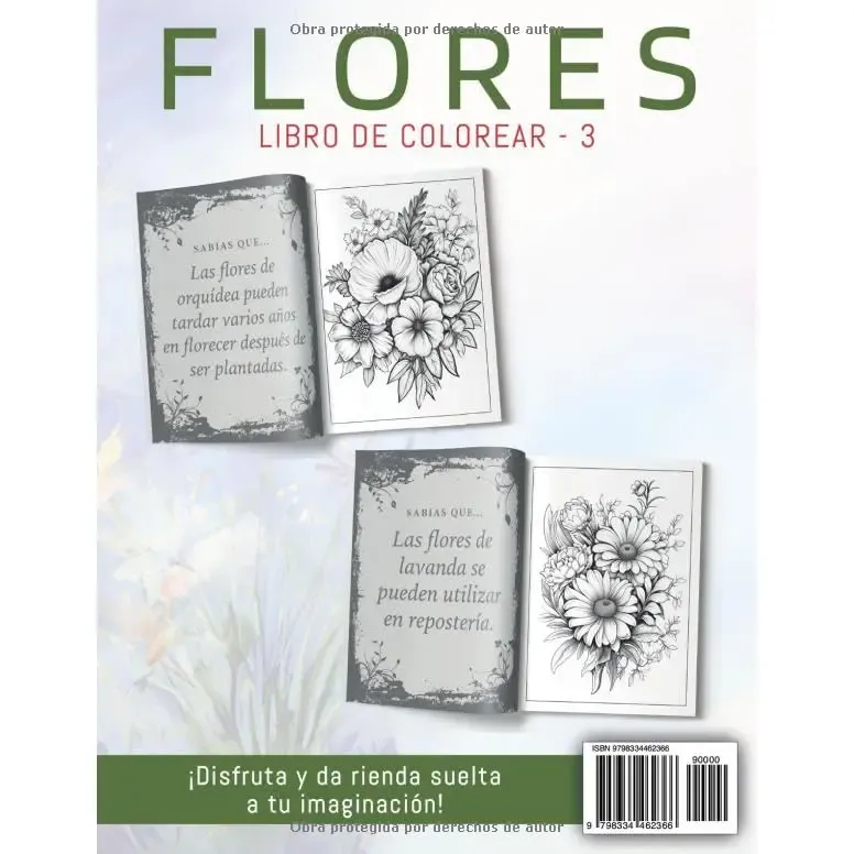 Contraportada 3.webp