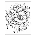 2 - Colorear FLORES - 50.webp