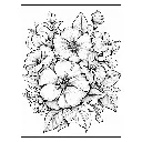 2 - Colorear FLORES - 07.webp