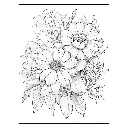 3 - Colorear FLORES - 09.webp