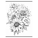 3 - Colorear FLORES - 56.webp