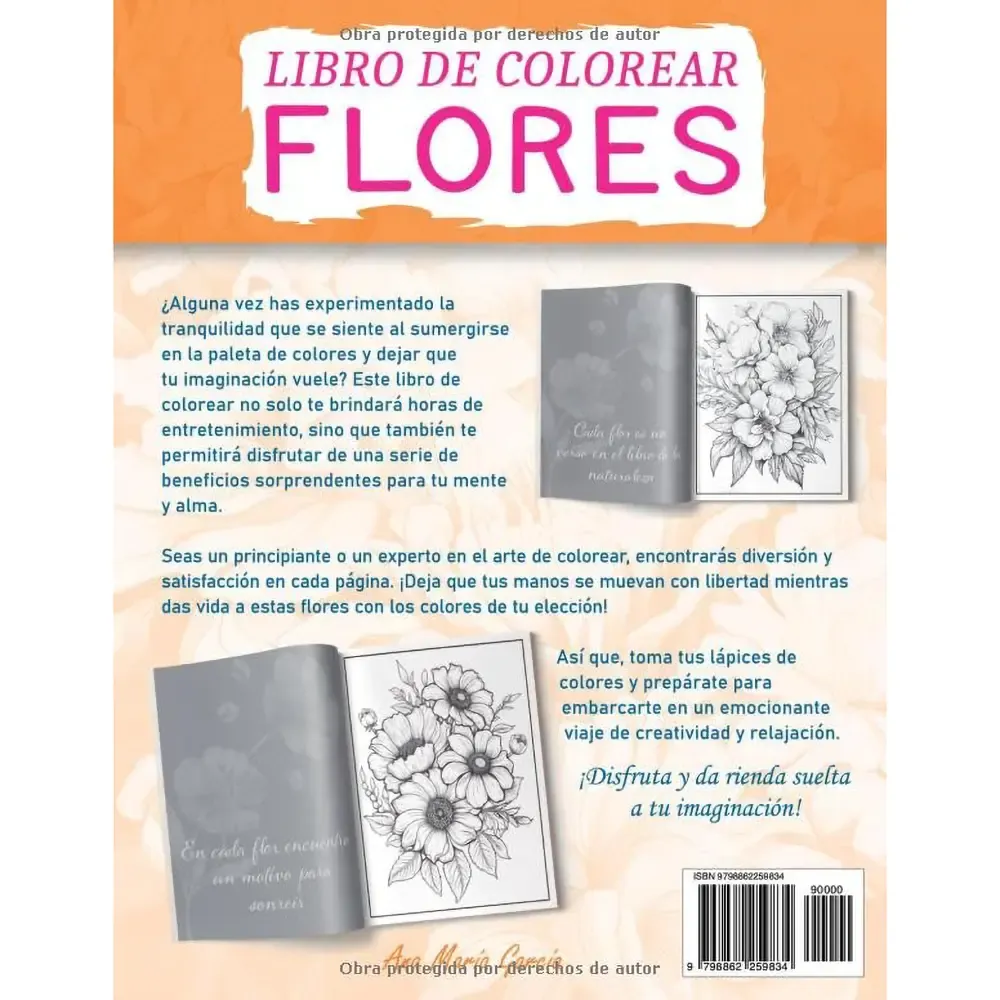 contraportada 3.webp