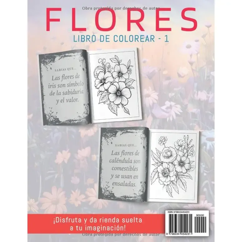 Contraportada 1.webp